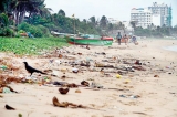 Wading through rubbish on the beach – this must stop