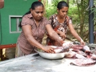 From Impoverished to Empowered: Sri Lankan women adopt modern biomass technologies