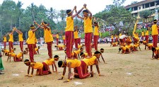 Gymnastic Show