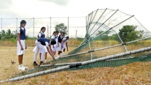 Wild jumbos destroy rural school’s Volleyball court fence