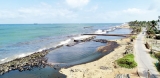 Impact from oil leak on coastal ecosystem to take months- NARA