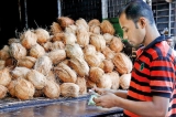 Coconut prices ease