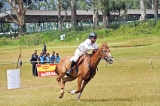 Ceylon Riding Club summer horse on Sept. 22