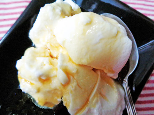 Probiotics-pic