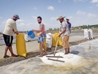 Salt makers taste bitter lives