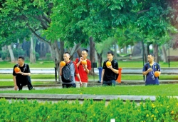 Greenery at the park