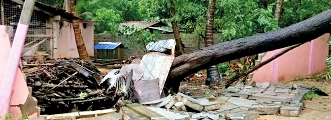 Relief in battered north as cyclone moves away