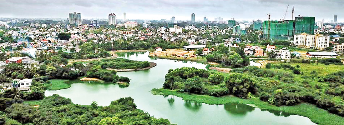 What’s next now that Colombo’s an official Wetland City?
