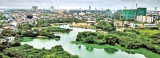 What’s next now that Colombo’s an official Wetland City?