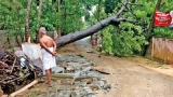 Cyclone Gaja’s full scale of destruction still being ascertained