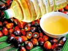 Court steps in over risky palm oil import