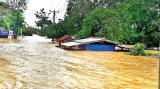 Lanka hugely vulnerable to climate crises: Report