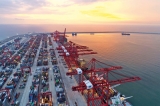 CICT ends 2018 with 2.65 mn teus, 38% of Colombo Port’s volume
