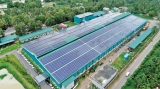 GRI goes Green by installing a 1.2 MW solar power system