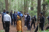 Firebreaks created at Pidurutalagala forest reserve