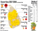 Forest fires double but dept. forced  to leave areas unguarded