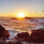 4.Experience-the-warmth-at-Point-Lobos