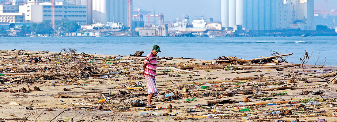 Concerns grow as report shows plastic killing off our fish