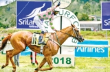 Thoroughbreds to storm Nuwara Eliya tracks again