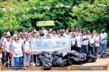 Sri Pada 2019 Clean-up Project