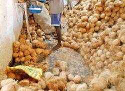 Bagged coconut