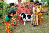 Avurudu celebrations at Little Angels AMI Montessori