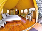 ‘Wild Glamping Knuckles’