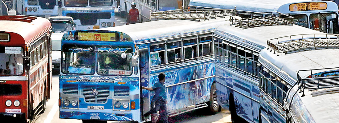 Bus drivers – the other terrorists on the prowl