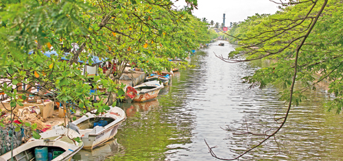 Hamilton-Canal-(Alakanda-Area)_MG_0053