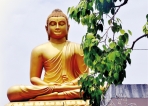 Let us unite in the spirit of  the Dhamma this Vesak