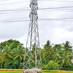 Farming with high tension Sent by Upali Gangoda Nikon D3100