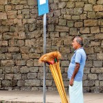 Colombo: New brooms stand tall