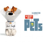 pets-1080x793-5be3683f0ba23-1