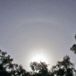 Jaya Sri Maha Bomaluwa Anuradhapura: Sun's halo Sent by Norman Jayaratne    Apple i Phone 7 Plus