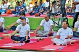 Yoga for peace and harmony