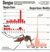 Dengue on the rampage