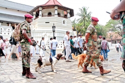 Tightest ever security for Esala Perahera