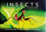 A close encounter with awe-inspiring insects