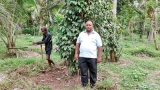Fruit growers of Katana seek better prices for produce