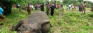 Three more elephants found dead at National Park , Thandikulam