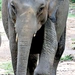 5W7A6847-Ted