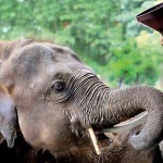 5W7A6885-Ted