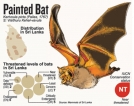 Young researchers explain sights and sounds of Lankan bats
