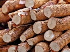 Sri Lanka’s cassava generates FDI venture