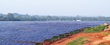 Brantel appointed local distributor for world’s top solar panel maker JA Solar