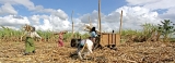 Unpaid work and gender equality: IMF Unpaid work and gender equality: IMF