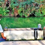 Weli-Park, Nawala: Patience and dedication Sent by Nimal Mahagamage   Samsung J7