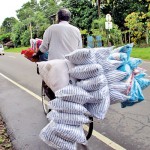 Anuradhapura: Comfy ride