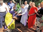 Peradeniya University Alumni Assoc. Colombo  Chapter plants trees
