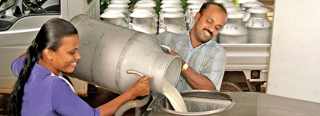 Industry stakeholders urge formulation of national milk production policy
